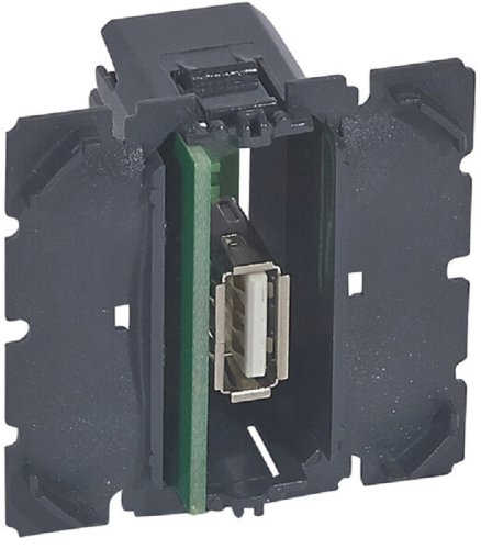 Розетка USB тип A без накладки без рамки Legrand Celiane 1-м. фото Розетка USB тип A без накладки без рамки Legrand Celiane 1-м. картинка